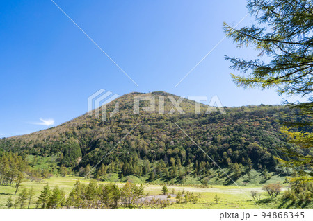 涸沼から見た山王帽子山(日光国立公園の切込湖・刈込湖ハイキングコース) 涸沼から見た山王帽子山(日光国立公園の切込湖・刈込湖ハイキングコース) 94868345