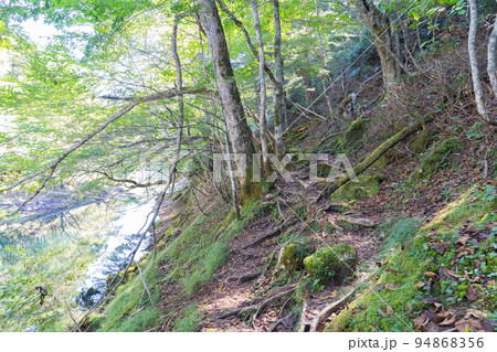 切込湖・刈込湖沿いの登山道(日光国立公園) 切込湖・刈込湖沿いの登山道(日光国立公園) 94868356