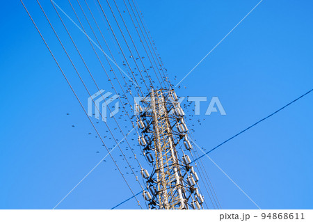 送電鉄塔と高圧線に集まるムクドリの群れと青空 送電鉄塔と高圧線に集まるムクドリの群れと青空 94868611