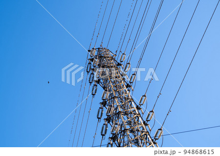 ムクドリの群れがとまる高圧線と送電鉄塔と青空 94868615