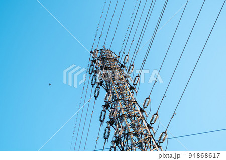 ムクドリの群れがとまる高圧線と送電鉄塔と青空　ライトトーン 94868617