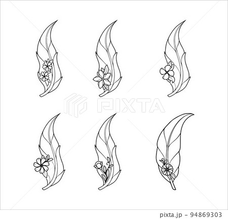 Set of Decoration Floral Feather Doodle Vector  94869303
