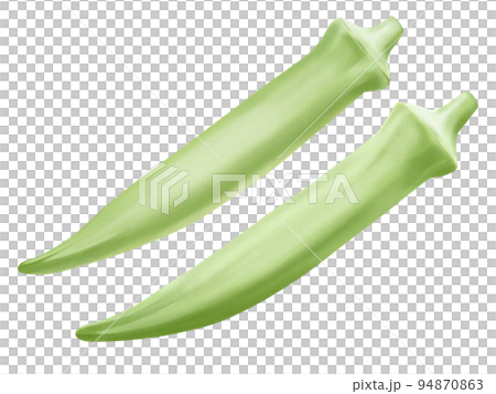 白オクラのリアルなテイストの手描きイラストレーション 新鮮 美味しそう 白オクラのリアルなテイストの手描きイラストレーション 新鮮 美味しそう 94870863