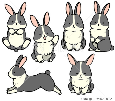 Fashionable Casual Simple Black & White Checkered Rabbit Patterned