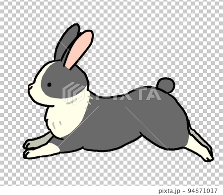 Jumping black and white patterned rabbit Jumping black and white patterned rabbit 94871017