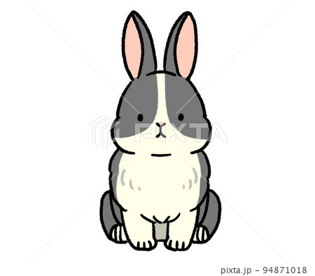 座っている白黒の模様のうさぎ 座っている白黒の模様のうさぎ 94871018