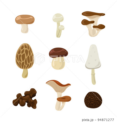 きのこセット2 94871277