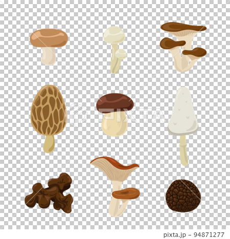 きのこセット2 94871277