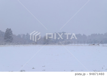 田舎の雪景色 94871460