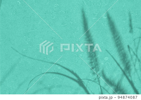 Shadow of leaves on mint green concrete wall texture background Shadow of leaves on mint green concrete wall texture background 94874087
