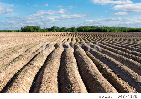 Arable land ploughed field. Cultivated land and soil tillage. Simple country landscape with plowed fields and blue skies. 94874179