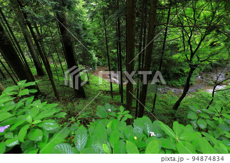 榛名神社 群馬県高崎市 榛名神社 群馬県高崎市 94874834