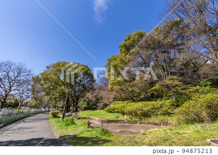 春の戸山公園の風景 94875213