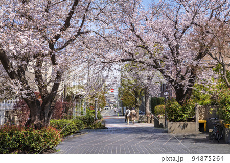 世田谷区・用賀三条通りに咲く桜 94875264