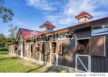 競走馬（サラブレッド）生産牧場　イメージ　北海道 94875530