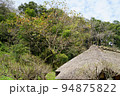 東京都町田市の薬師池公園の古民家と柿の木の風景 94875822