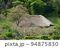 東京都町田市の薬師池公園の古民家と柿の木の風景 94875830
