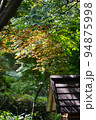 東京都町田市の薬師池公園の紅葉の風景 94875998