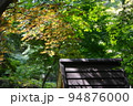 東京都町田市の薬師池公園の紅葉の風景 94876000