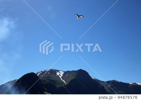ノルウェーのフィヨルドを悠々飛ぶカモメ ノルウェーのフィヨルドを悠々飛ぶカモメ 94876576