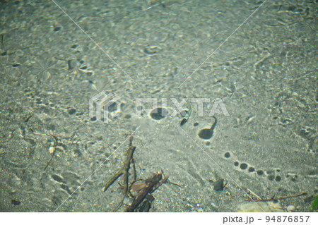 清流水中における水紋の背景素材 94876857