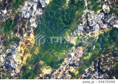 秋の珪藻（ケイソウ） 94876998