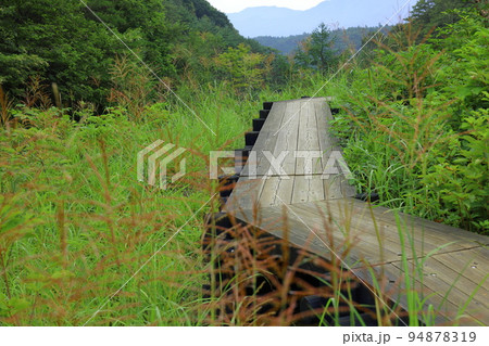 チャツボミゴケ公園 穴地獄 群馬県 チャツボミゴケ公園 穴地獄 群馬県 94878319