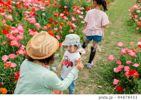 2 years old  &  8 years old 94878433