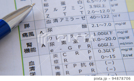 健康診断イメージ|痛風・腎機能 健康診断イメージ|痛風・腎機能 94878706
