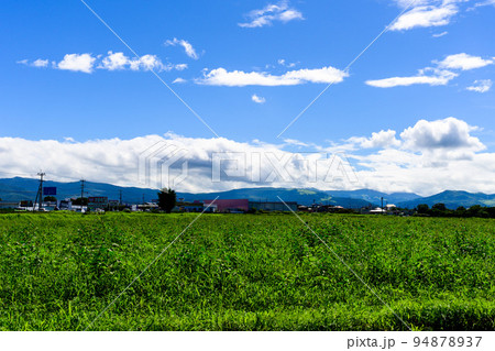 工事現場から観た風景「世界的半導体メーカーTSMC(台湾積体電路製造)工場予定地」 工事現場から観た風景「世界的半導体メーカーTSMC(台湾積体電路製造)工場予定地」 94878937