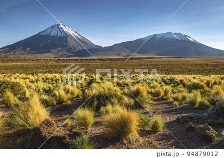 Licancabur at sunrise, Atacama, volcanic landscape, Chile, South America 94879012