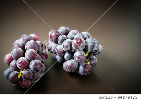 つやつやと光り輝く、本当に美味しそうなブドウ つやつやと光り輝く、本当に美味しそうなブドウ 94879125