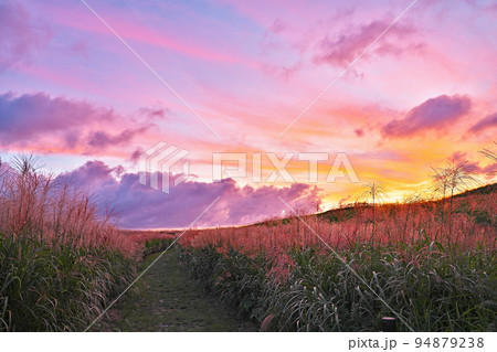 【曽爾高原 (夕刻)】 奈良県宇陀郡曽爾村太良路 94879238