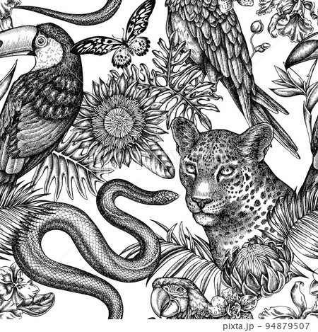 Tropical animals seamless pattern background design. Engraved style. Hand drawn leopard, snake, toucan, scarlet macaw, african giant swallowtail, monstera, strelitzia, tropical palm leaves, orchid 94879507