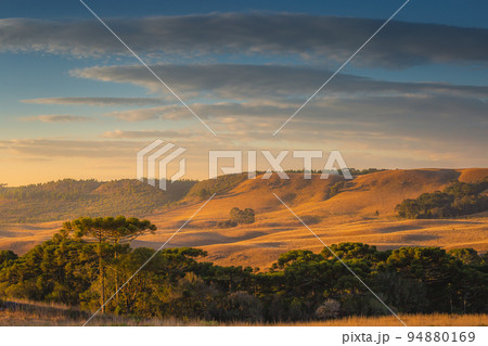 Southern Brazil countryside and meadows landscape at peaceful sunrise Southern Brazil countryside and meadows landscape at peaceful sunrise 94880169