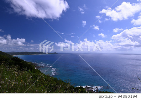 奄美大島　秋空と太平洋側の海岸線の眺め 94880194