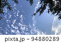 秋の夕空と木の枝 94880289