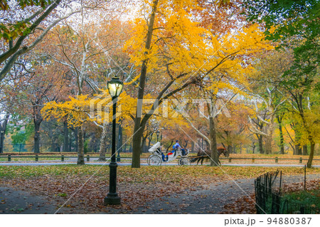 Horse drawn Carriage and Central Park in New York City at golden autumn, USA Horse drawn Carriage and Central Park in New York City at golden autumn, USA 94880387