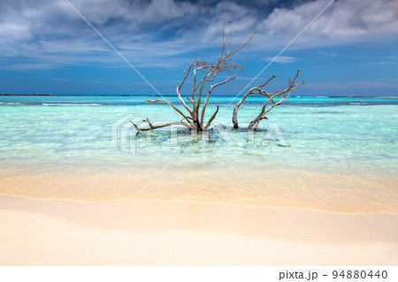 Aruba idyllic caribbean beach at sunny day, Dutch Antilles, Caribbean Sea 94880440