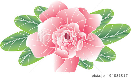 Abstract of Desert rose, Mock Azalea, Pinkbignonia, Impala lily flower with leaves on white background. Abstract of Desert rose, Mock Azalea, Pinkbignonia, Impala lily flower with leaves on white background. 94881317