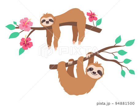 Cute sleeping and Hanging sloth on branch of tree with leaves and tropical flowers. Vector illustration in flat style. 94881500
