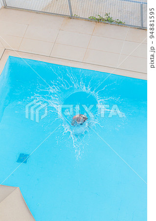 Picture of two women jumping into turquoise blue pool 94881595