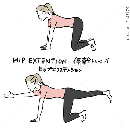 体幹トレーニング　ヒップエクステンション 94881794