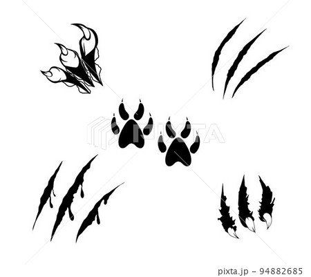 Silhouette of Paws with Scratch Animal  94882685