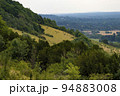 Slopes of Box Hill Surrey 94883008