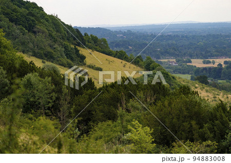 Slopes of Box Hill Surrey Slopes of Box Hill Surrey 94883008