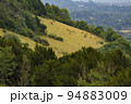 Slopes of Box Hill Surrey during 2022 Drought 94883009