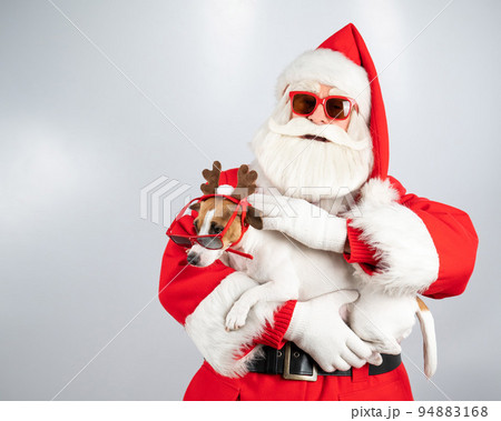 Santa claus and santa's helper in sunglasses on a white background. Jack russell terrier dog in a deer costume. 94883168