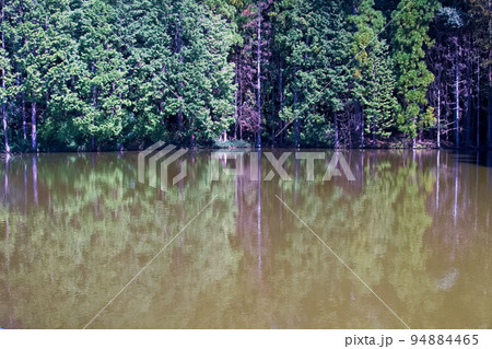 神秘な池 94884465