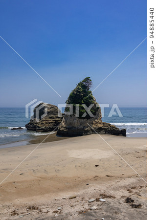 茨城県日立市 東滑川海浜緑地のグミ島 茨城県日立市 東滑川海浜緑地のグミ島 94885440